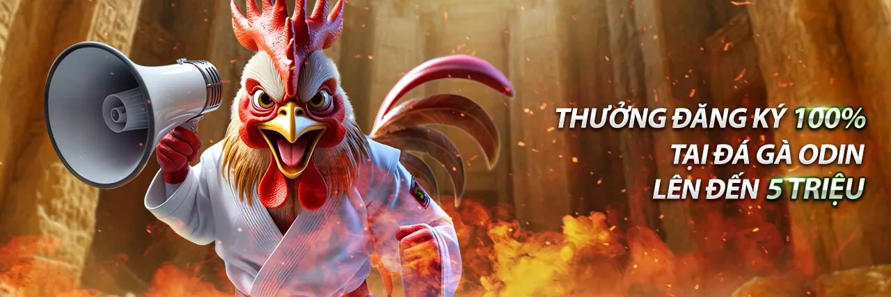 Casino trực tuyến với người chia bài thật